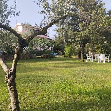 Appartamento In Villa Bruno Olbia Zewnętrze zdjęcie