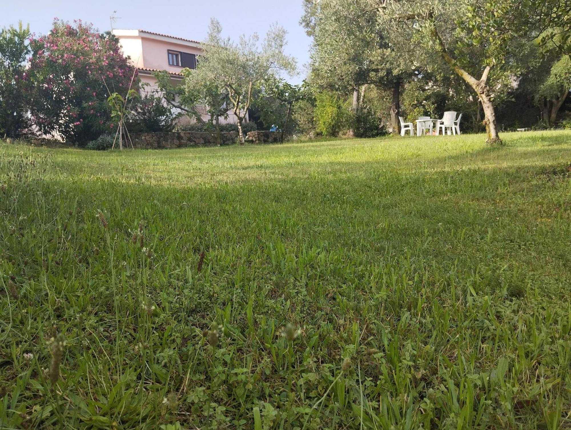 Appartamento In Villa Bruno Olbia Zewnętrze zdjęcie
